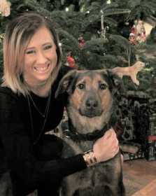Lost Dog