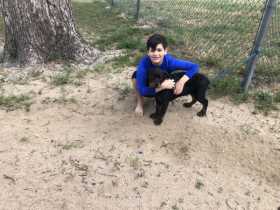Lost Dog