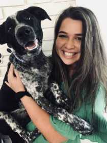 Lost Dog