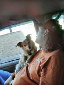 Lost Dog