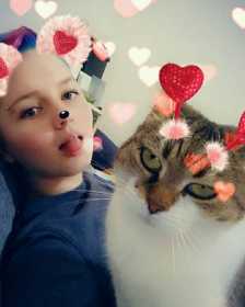 Lost Cat