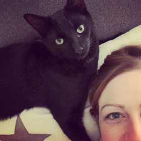 Lost Cat