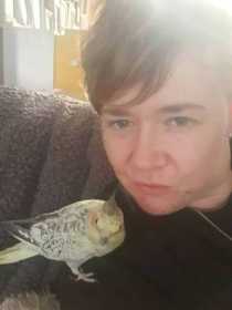 Lost Cockatiel