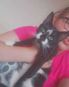 Lost Cat