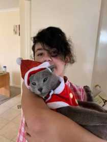 Lost Cat