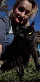 Lost Cat