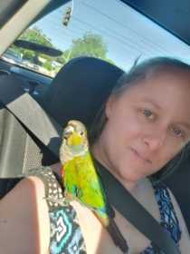 Lost Conure