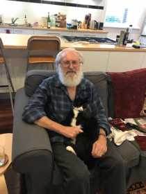 Lost Cat