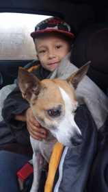 Lost Dog