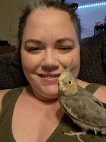Lost Cockatiel