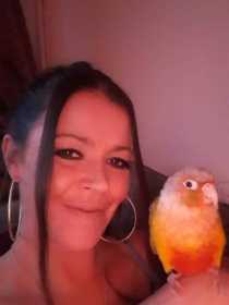 Lost Conure