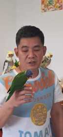 Lost Lory / Lorikeet