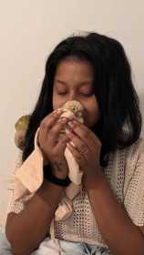 Lost Conure
