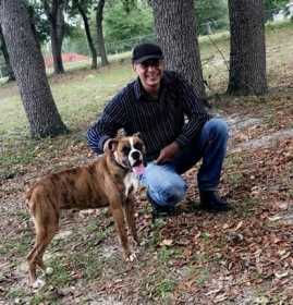 Stolen Dog