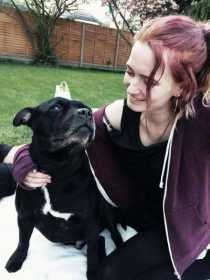 Stolen Dog