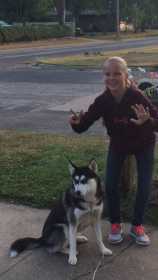 Stolen Dog
