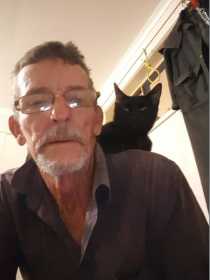Stolen Cat