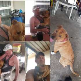 Stolen Dog