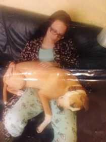 Stolen Dog