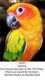 Conure