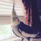 Cockatiel